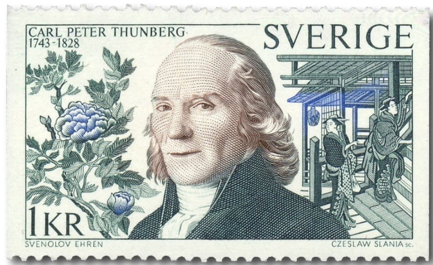 Carl Peter Thunberg's portrait is depicted in the foreground with peonies and a Japanese setting.