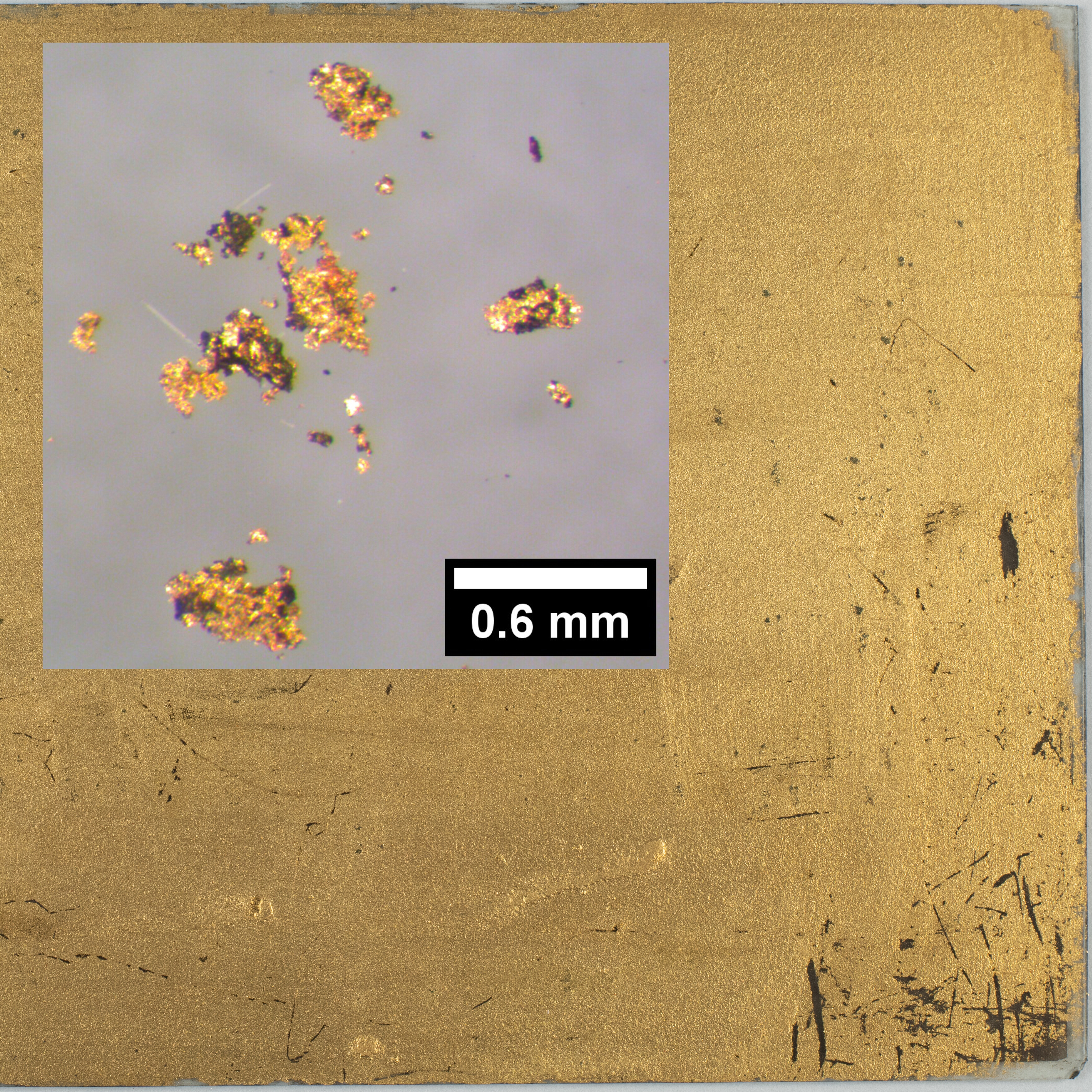 Gold-colored flakes with scale bar overlaid onto the scratched gold-colored back of an orotone.